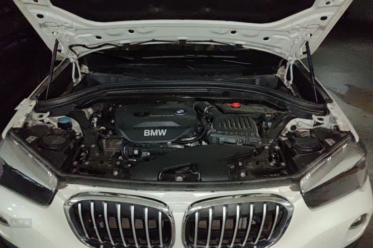 BMW X1 2017 car image #22