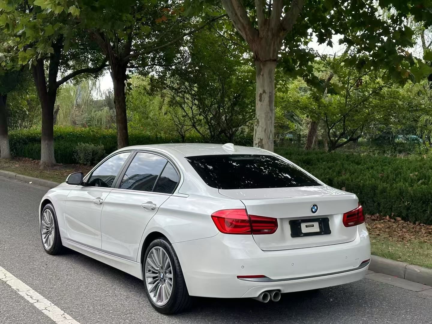 BMW 3 Series 2019 car image #10