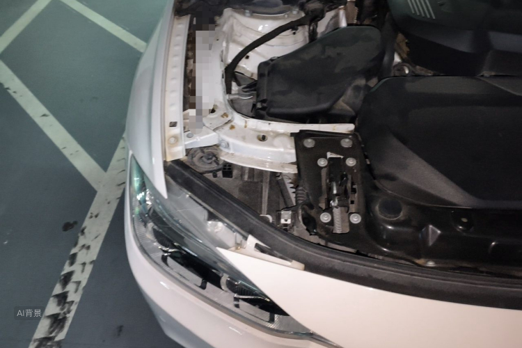 BMW 3 Series 2019 car image #8
