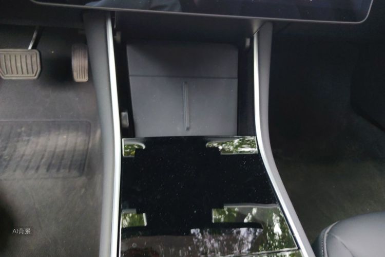Tesla Model 3 2020 car image #16