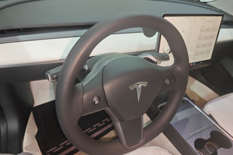 Tesla Model 3 2022 #10 Tesla Model 3 2022 car image #10