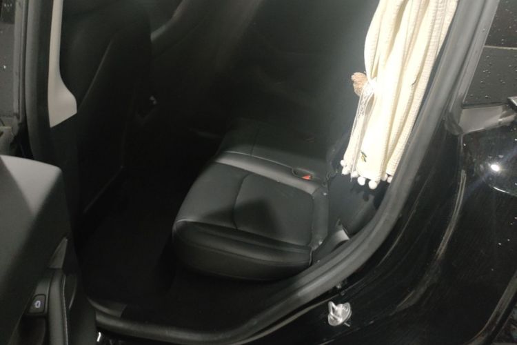 Tesla Model Y 2023 #17 Tesla Model Y 2023 car image #17