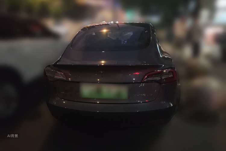 Tesla Model 3 2021 car image #6