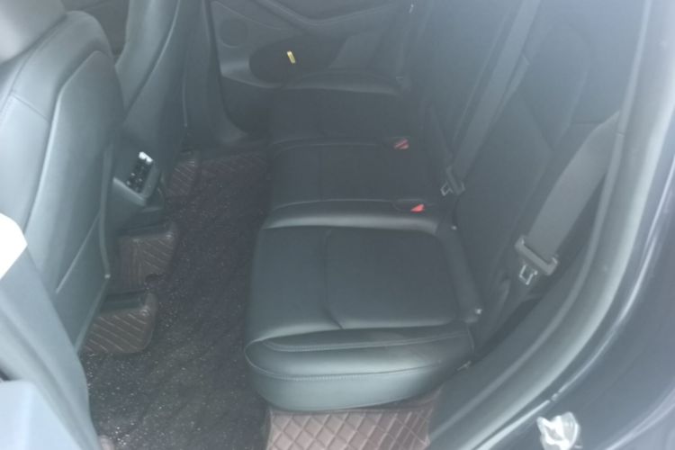 Tesla Model Y 2024 car image #14