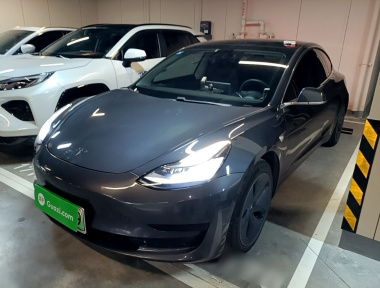 Tesla Model 3 2020 Tesla Model 3 2020 car image
