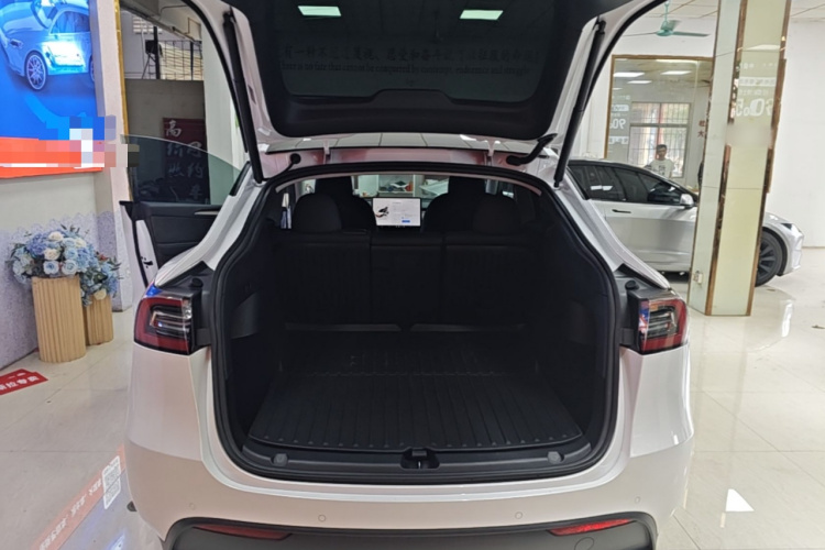 Tesla Model Y 2022 #19 Tesla Model Y 2022 صورة سيارة #19