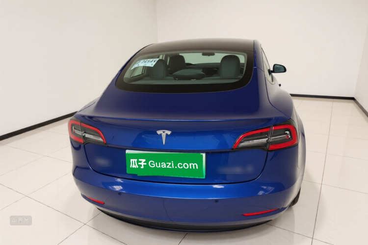Tesla Model 3 2020 #6 Tesla Model 3 2020 car image #6