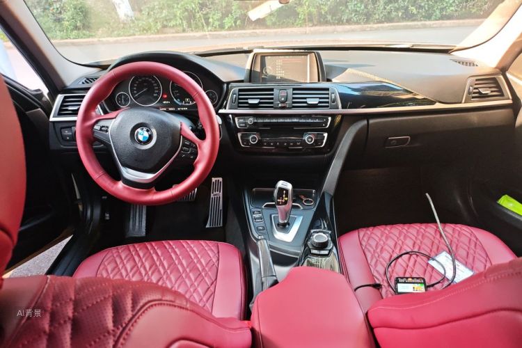 BMW 3 Series 2017 car image #11