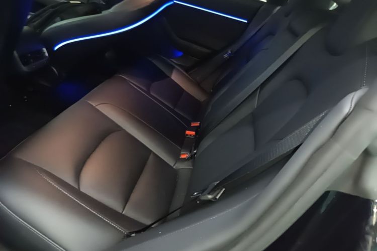 Tesla Model 3 2022 car image #17