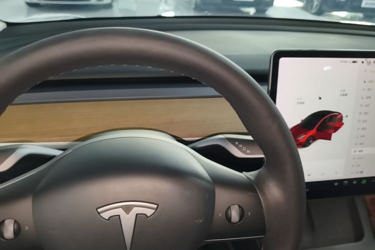 Tesla Model 3 2021 immagine di auto #14