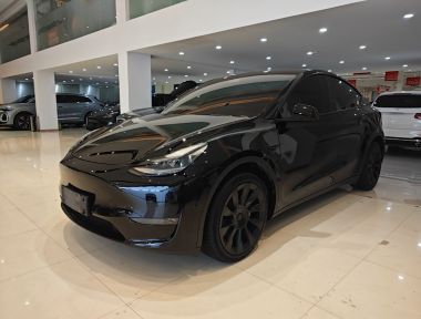 Tesla Model Y 2021 Tesla Model Y 2021 immagine di auto