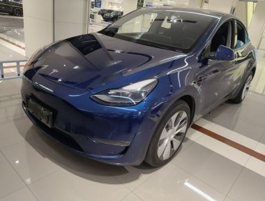 Tesla Model Y 2021 Tesla Model Y 2021 imagen de coche