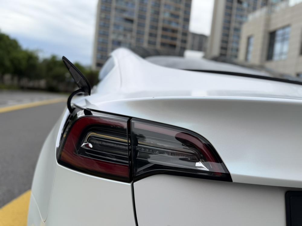 Tesla Model 3 2020 #8 Tesla Model 3 2020 car image #8