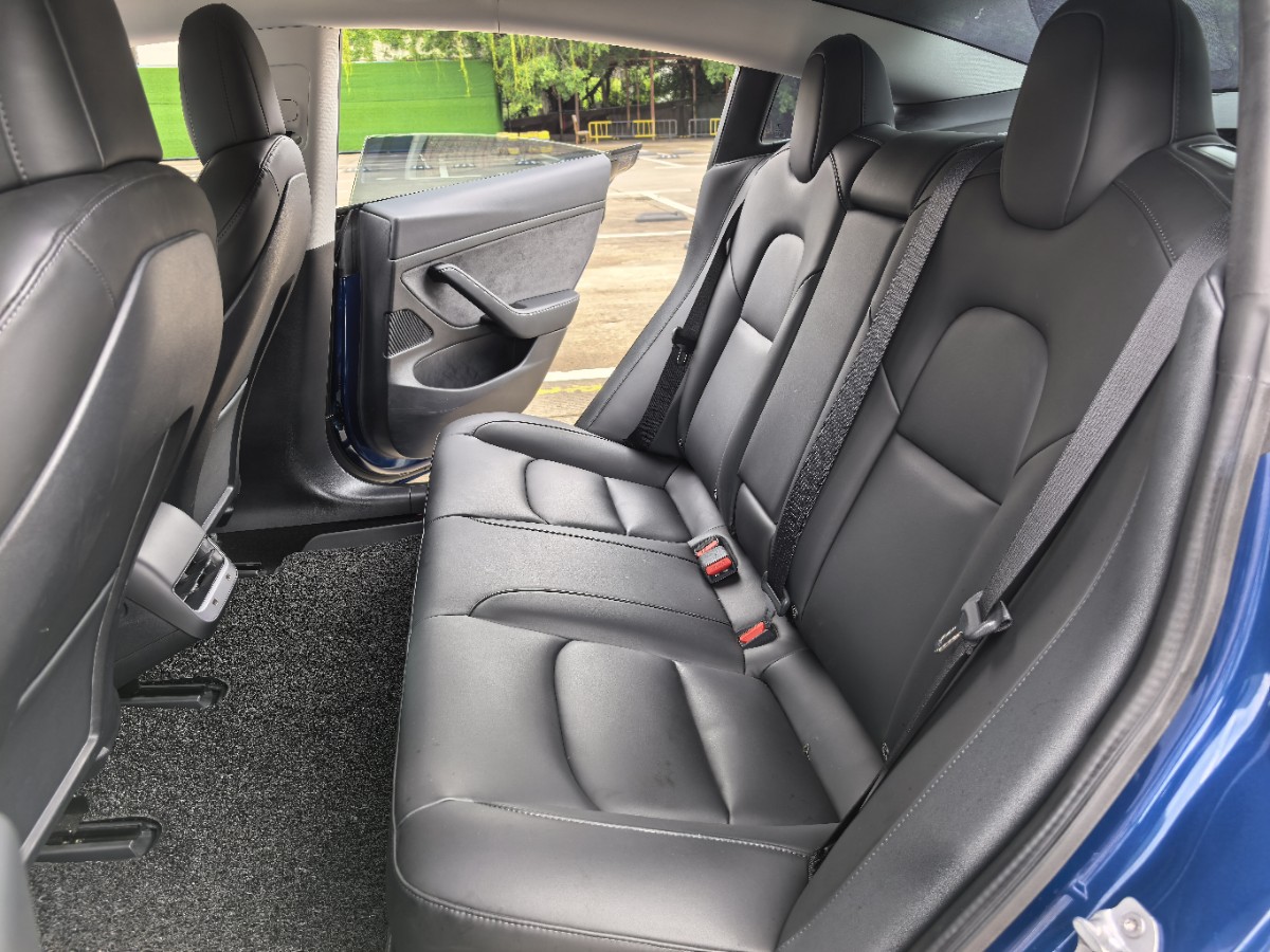 Tesla Model 3 2020 car image #7