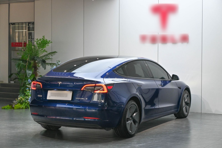 Tesla Model 3 2021 #7 Tesla Model 3 2021 car image #7