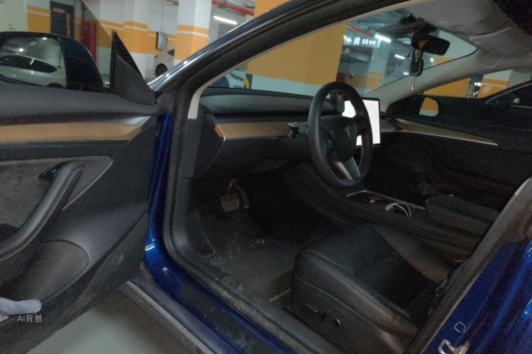 Tesla Model 3 2021 car image #18