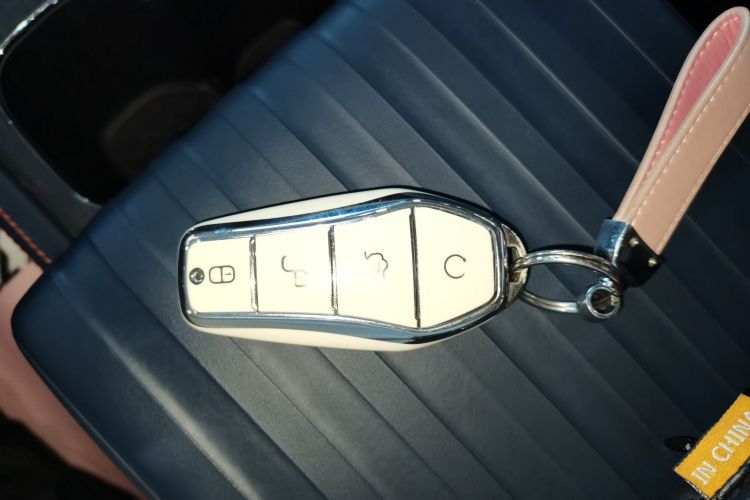 BYD Yuan Plus 2022 car image #9