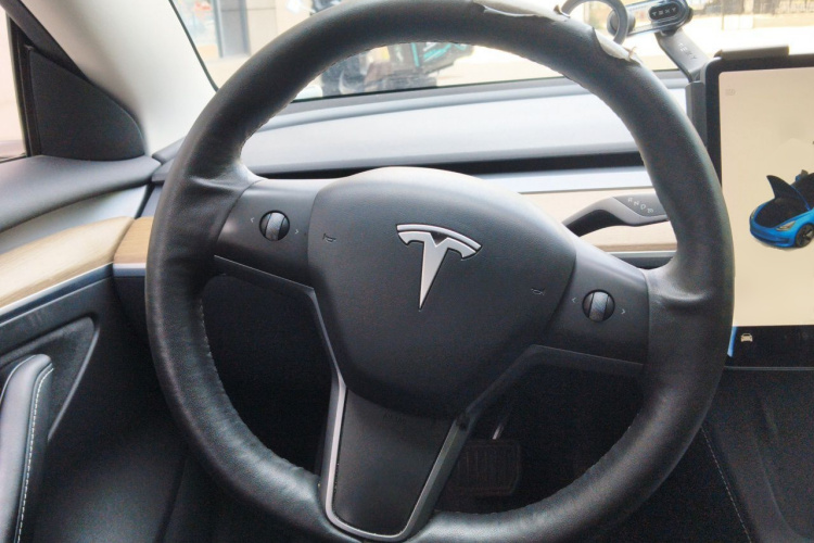 Tesla Model 3 2021 car image #11
