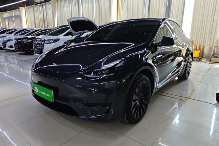 Tesla Model Y 2024 car image #2