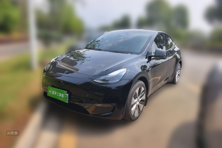 Tesla Model Y 2021 #2 Tesla Model Y 2021 car image #2