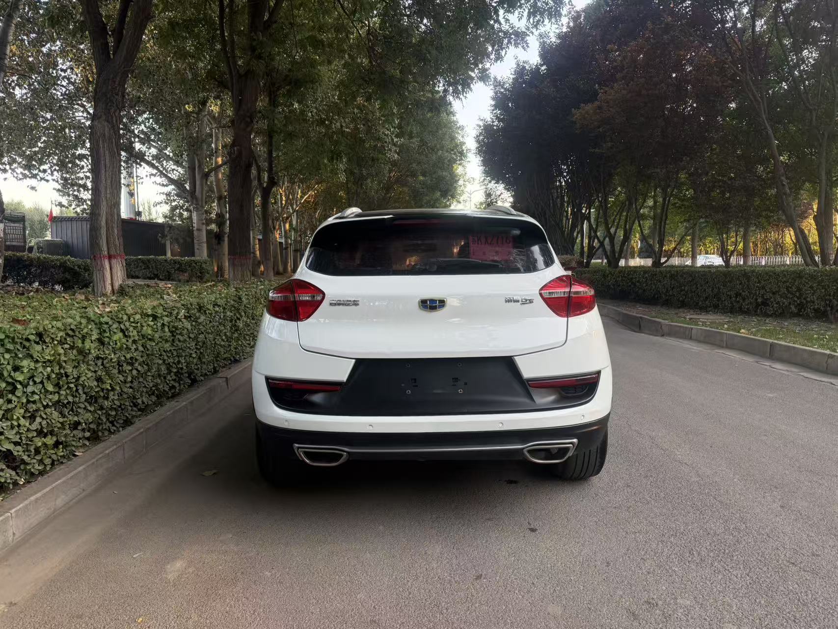GEELY Emgrand GS 2017 #8 GEELY Emgrand GS 2017 immagine di auto #8