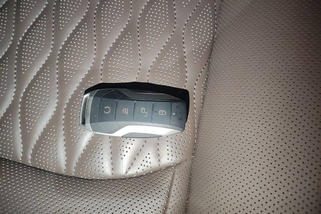 BYD Han 2021 #29 BYD Han 2021 immagine di auto #29