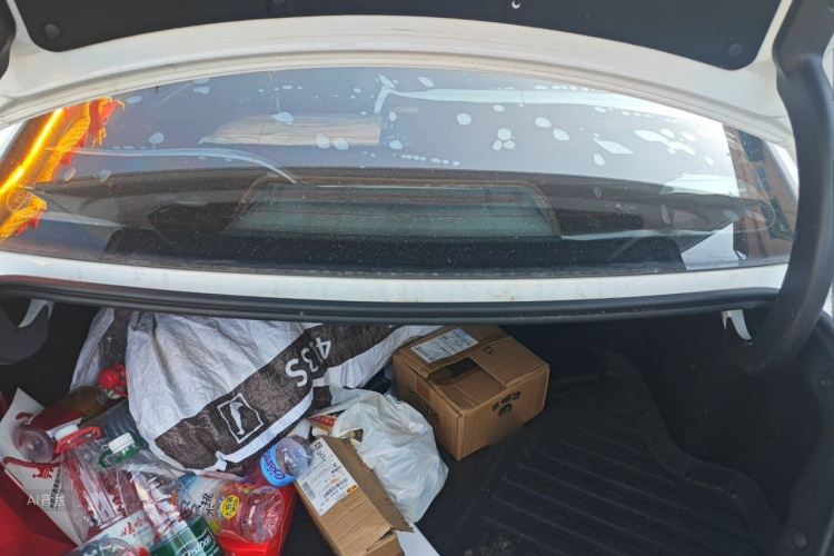 GEELY Emgrand GL 2019 car image #21