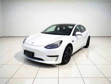 Tesla Model 3 2021 Tesla Model 3 2021 car image