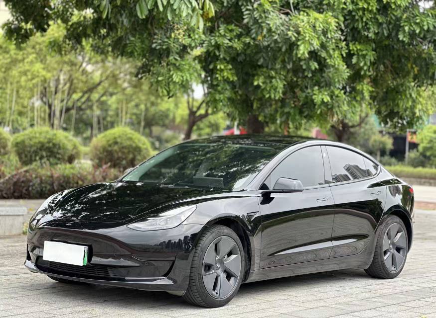 Tesla Model 3 2021 Tesla Model 3 2021 car image