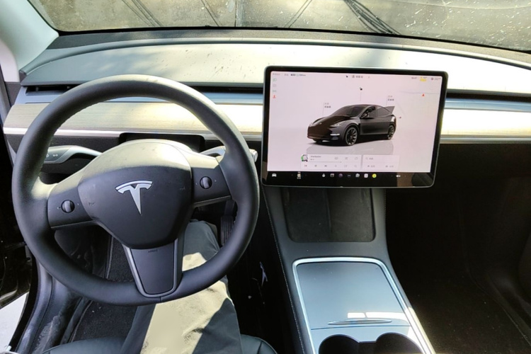 Tesla Model Y 2023 car image #10