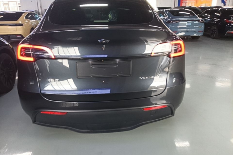 Tesla Model Y 2024 #6 Tesla Model Y 2024 car image #6