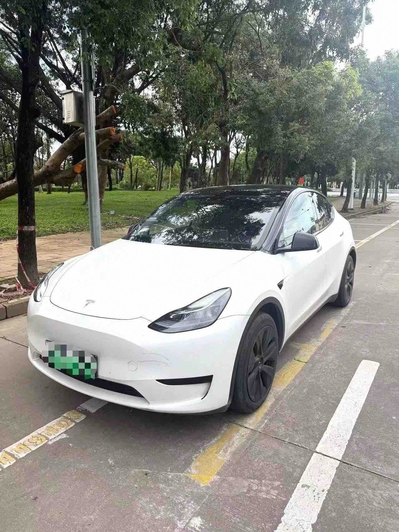 Tesla Model Y 2024 Tesla Model Y 2024 car image