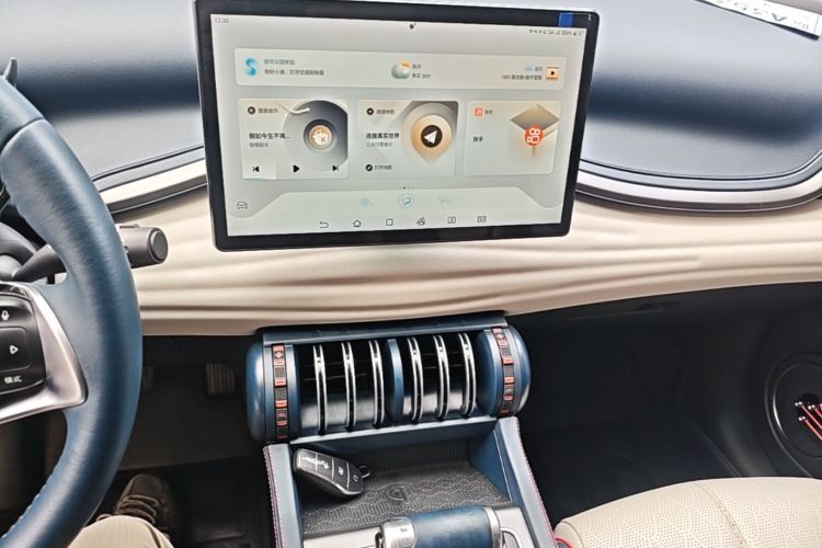 BYD Yuan Plus 2022 car image #13