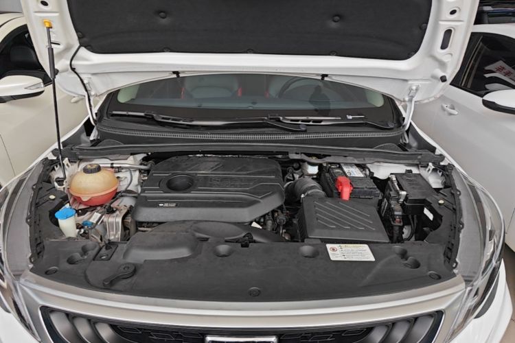 GEELY Emgrand GS 2021 #20 GEELY Emgrand GS 2021 car image #20