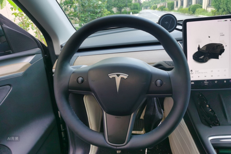 Tesla Model Y 2021 car image #12