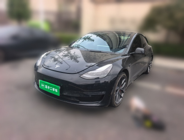 Tesla Model 3 2021 car image 