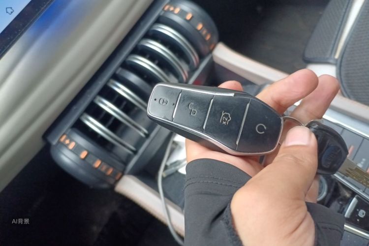 BYD Yuan Plus 2023 car image #10