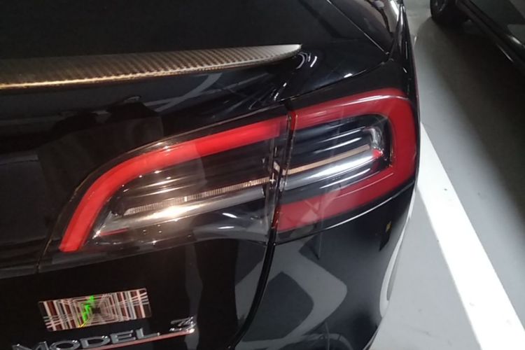 Tesla Model 3 2023 #8 Tesla Model 3 2023 car image #8