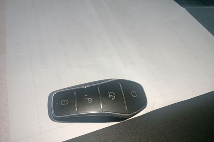 BYD Yuan Plus 2025 imagen de coche #9