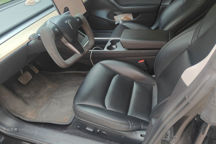 Tesla Model 3 2021 immagine di auto #17