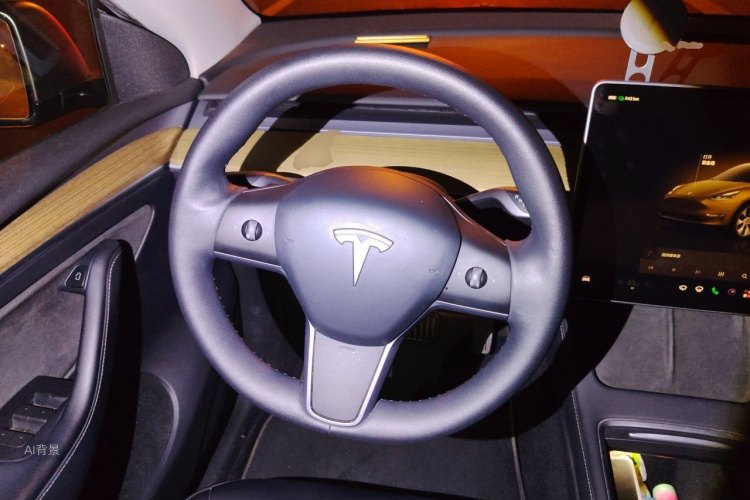 Tesla Model Y 2023 #12 Tesla Model Y 2023 car image #12