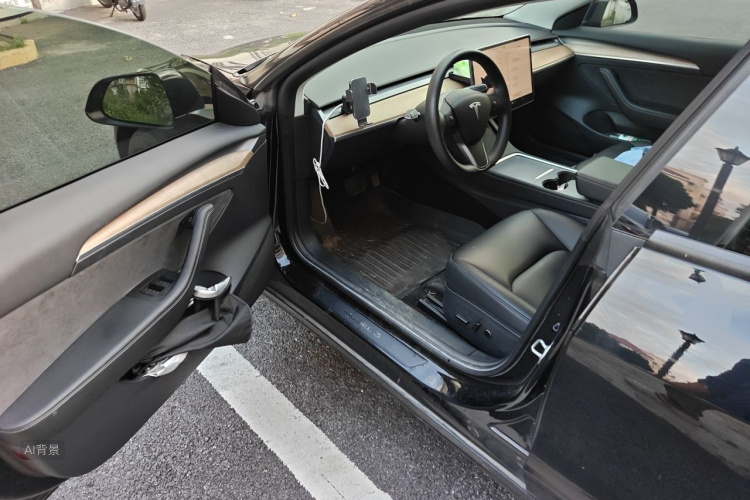 Tesla Model 3 2022 car image #18