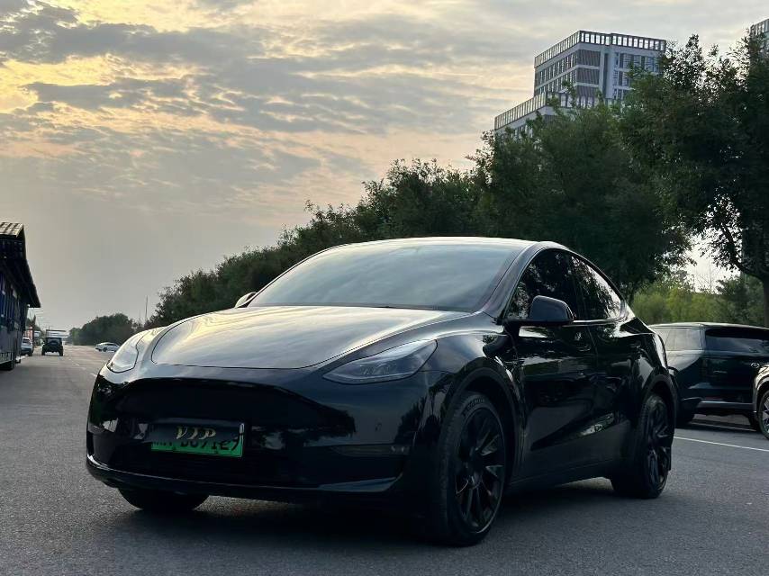 Tesla Model Y 2022 Tesla Model Y 2022 car image