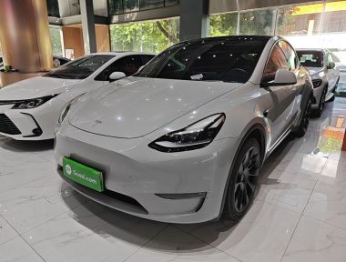 Tesla Model Y 2021 Tesla Model Y 2021 car image