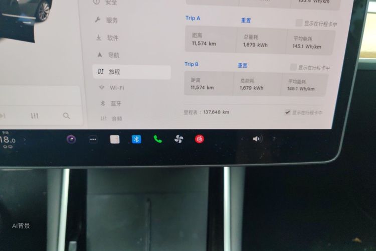 Tesla Model 3 2020 car image #14