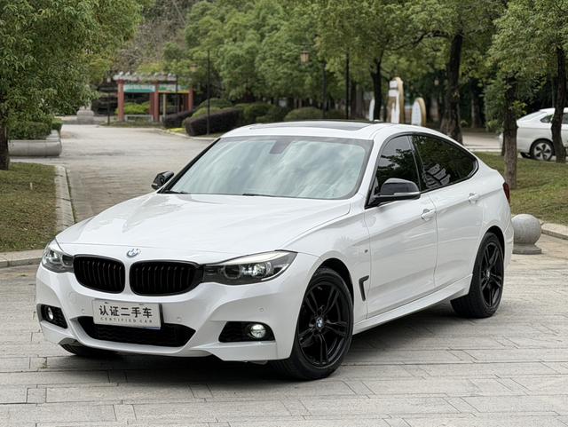 BMW 3 Series GT 2019 car image #17
