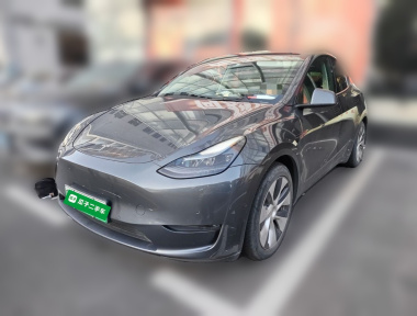 Tesla Model Y 2021 car image 