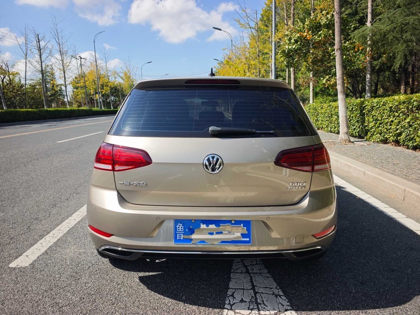 Volkswagen Golf 2020 imagen de coche #4