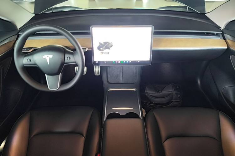 Tesla Model 3 2021 #10 Tesla Model 3 2021 car image #10