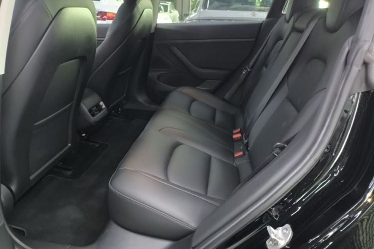 Tesla Model 3 2020 car image #17